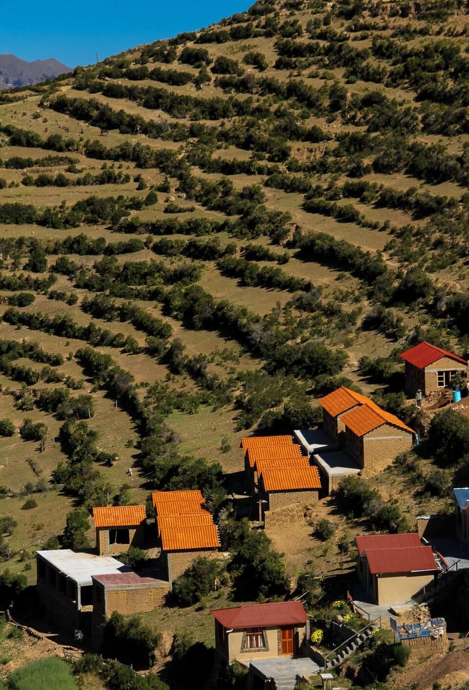 Campos em terraços e casas numa encosta da Isla del Sol.